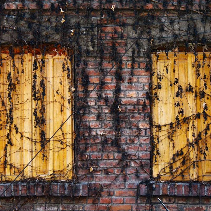 Value Headphones Medium [LOAD] (image 1 of 3)